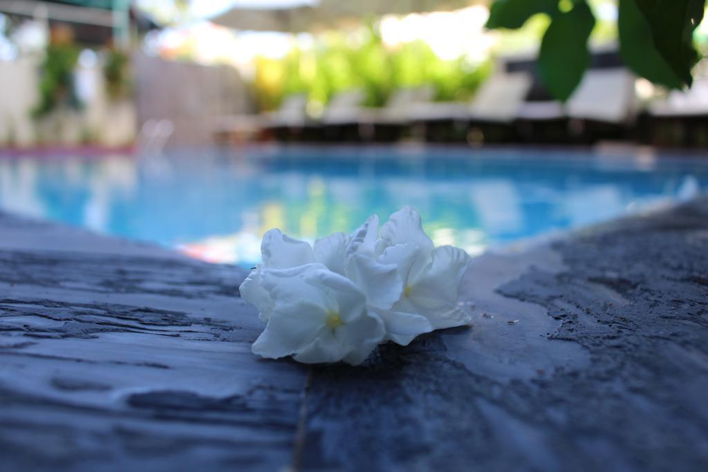 Phuc Thao Villa Hoi An Esterno foto